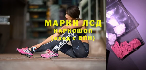 стафф Алзамай