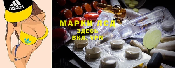 стафф Алзамай